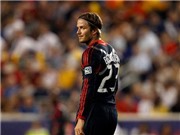 Bóng đá anh, ngoại hạng anh, lịch thi đấu euro 2012, Tottenham muốn giúp Beckham toại nguyện ước mơ
